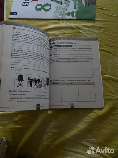 Биология рабочая тетрадь 8 класс