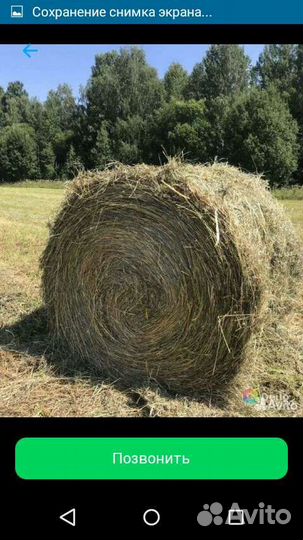 Продам сено в рулонах и в мешках
