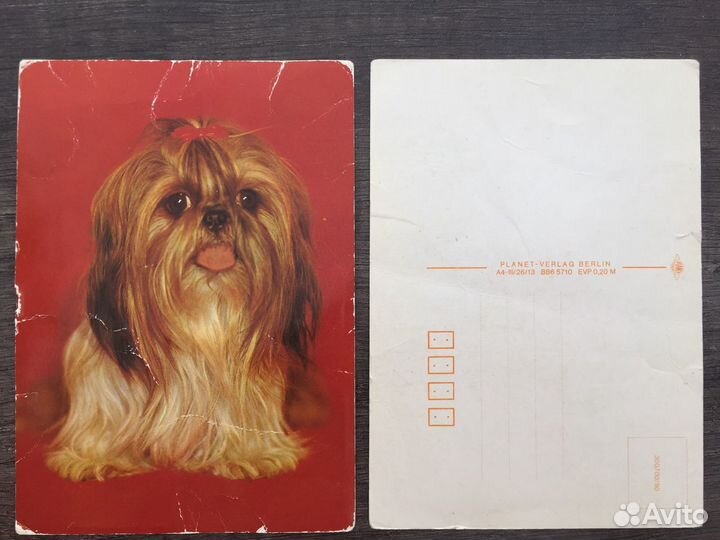 Открытки СССР Животные