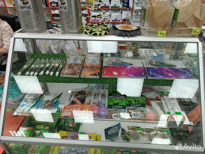 Муравьи Messor structor и фермы