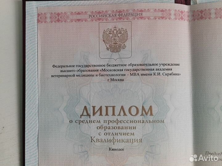 Услуги кинолога