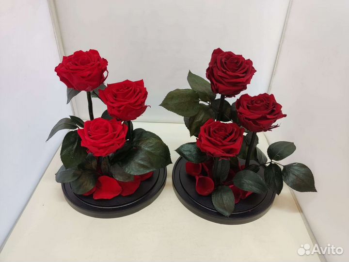 Роза в колбе