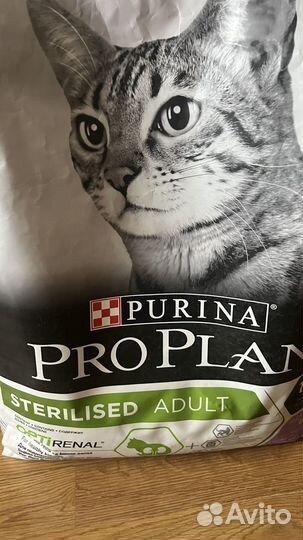 Корм для кошек