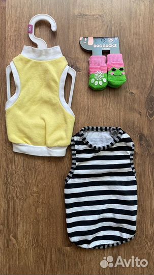 Одежда для мини собак