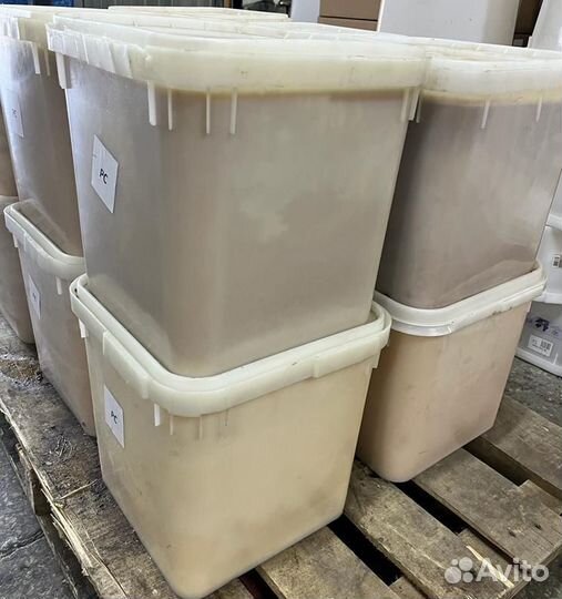 Мёд майский свежий оптом