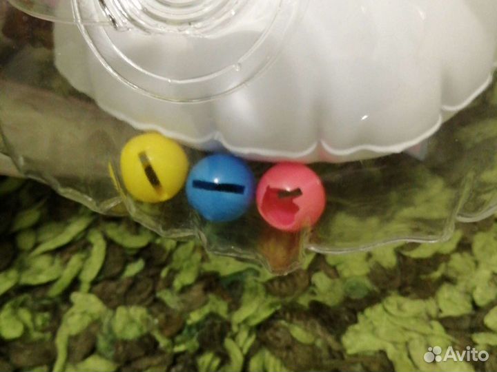 Круг для плавания