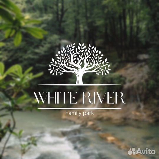 Мастер чистоты