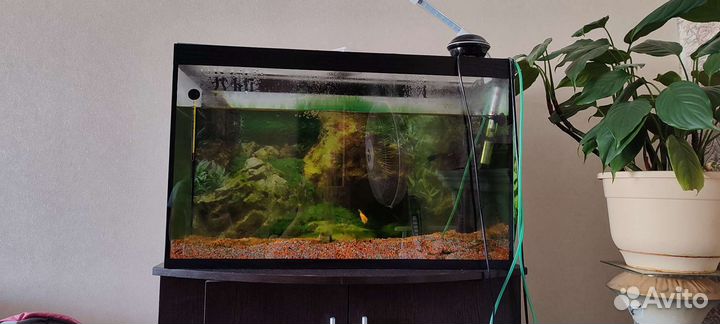Аквариум