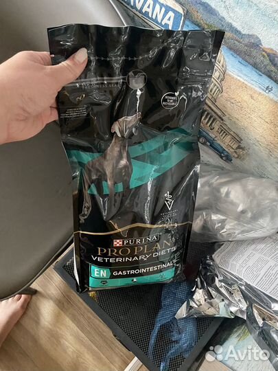 Сухой корм для собак