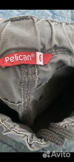 Шорты pelican