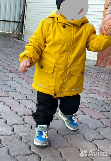 Vulpes курта демисезонная