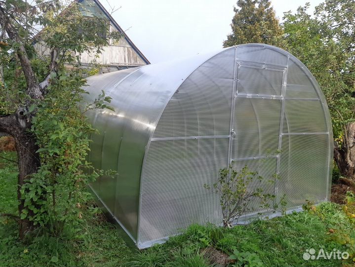 Теплица Усиленная