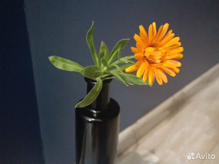 Ваза для одного цветка