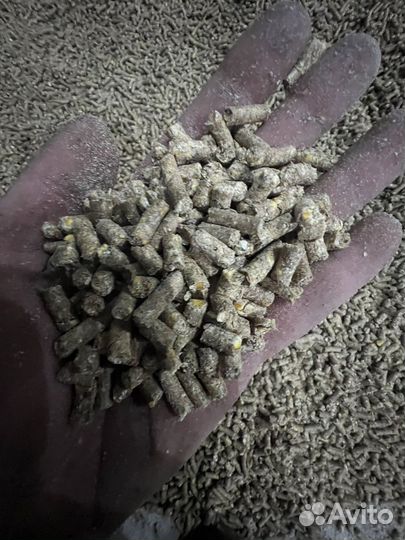 Комбикорм гранулированный