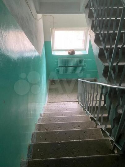 2-к. квартира, 50,1 м², 2/5 эт.