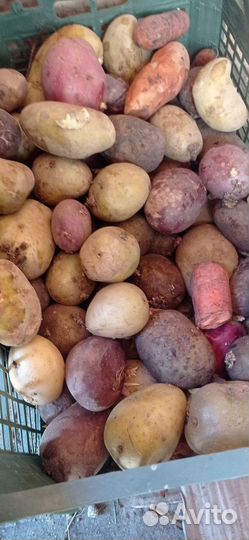 Корма для сельскохозяйственных