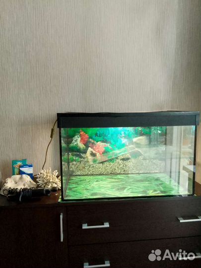 Акватеррариум