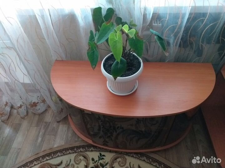 Тумба под тв