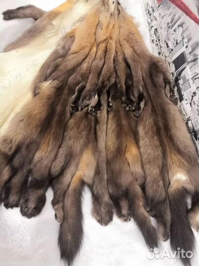 Шкурки соболя дикого сибирского 5 шт