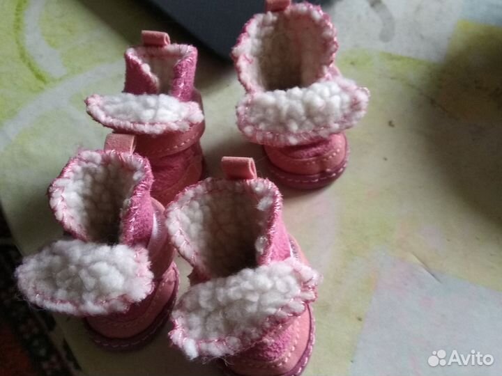 Сапожки для собачки