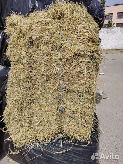 Корма для сельскохозяйственных животных