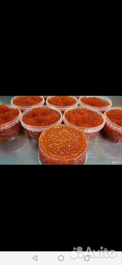 Красная икра с бесплатной доставкой