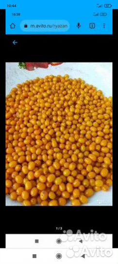 Облепиха ягоды