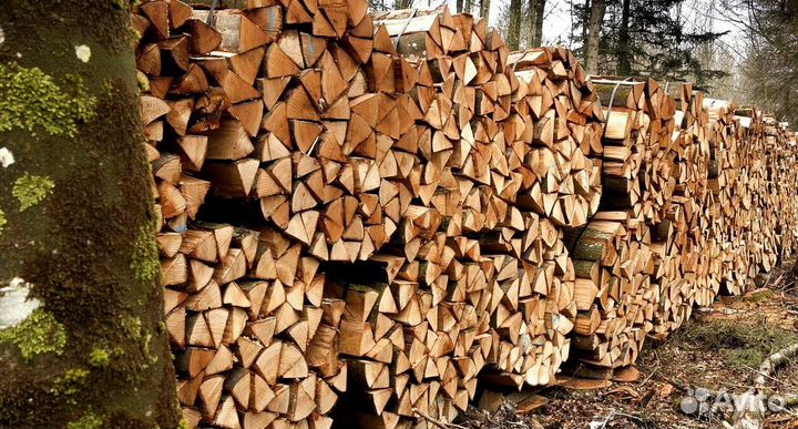 Дрова сразу