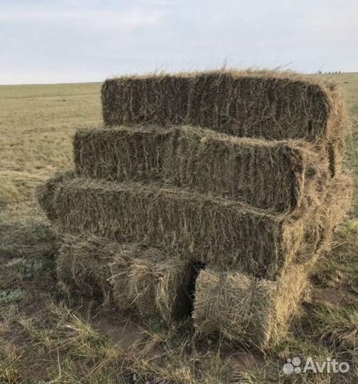 Сено у тюках
