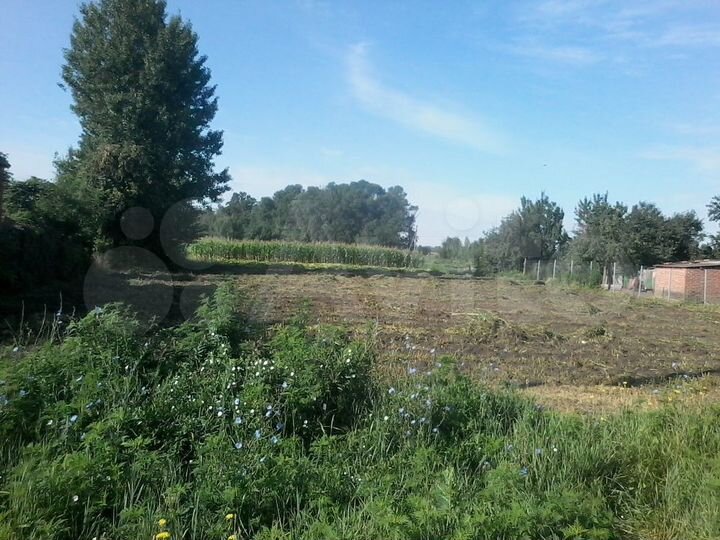 Участок 21 сот. (ИЖС)