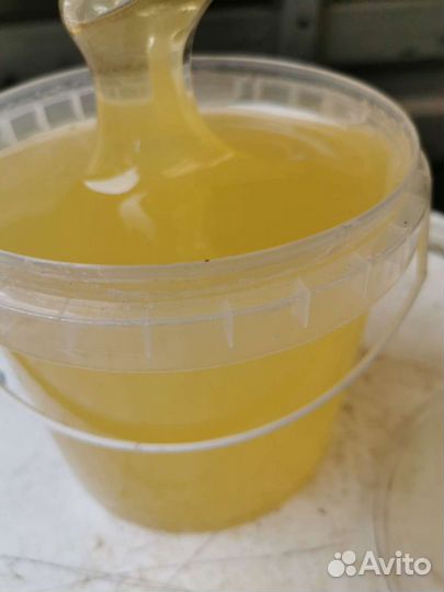 Донниковый мёд 2022