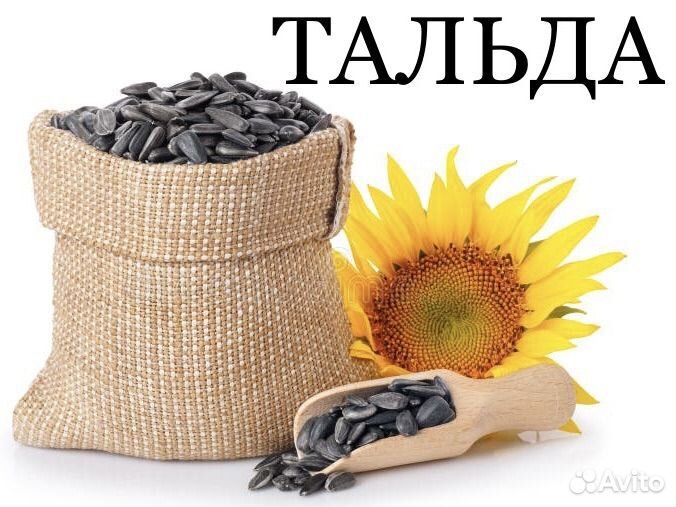Подсолнечник Тальда
