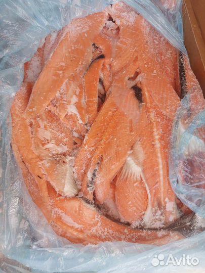 Хребты лосося с/м, коробка 20 кг