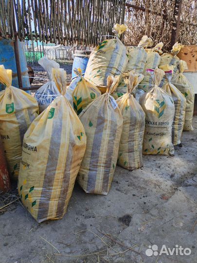 Перепелиный помет