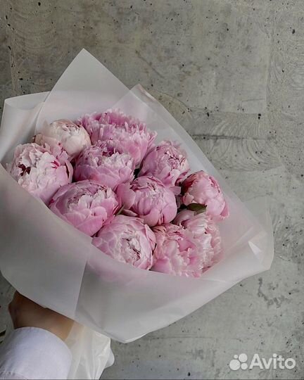 Пионы Букеты 15 25 51 Доставка Пионов