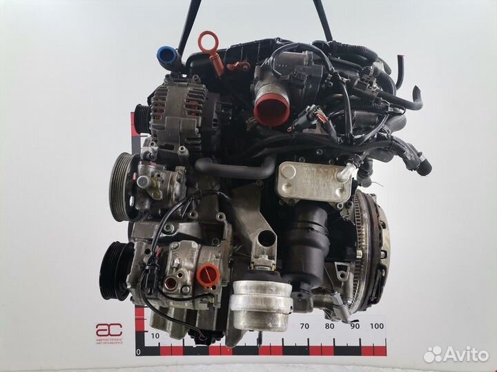 Двигатель (двс) для Audi A4 B7 BGB