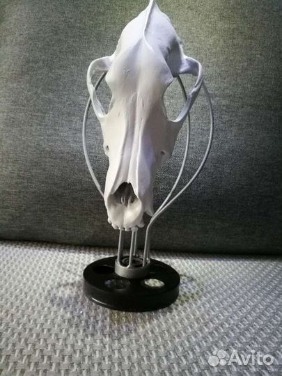 Предмет интерьера, декор,череп, подарок