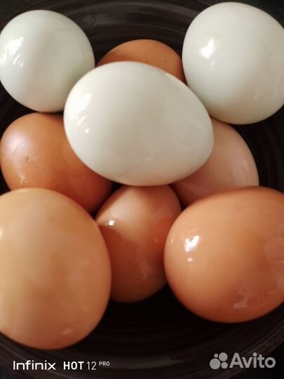 Домашние куриные яйца