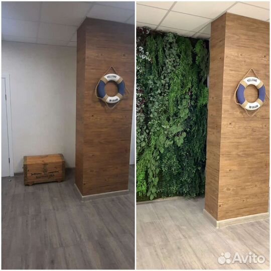 Дизайн проект визуализация озеленения бесплатно