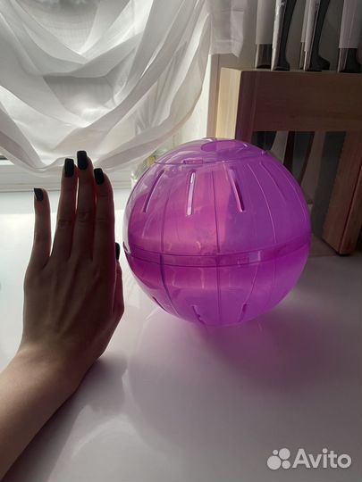 Шар для грызунов