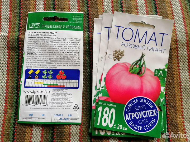 Рассада помидор томатов