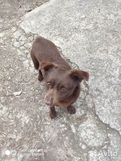 Молоденький маленький мальчик