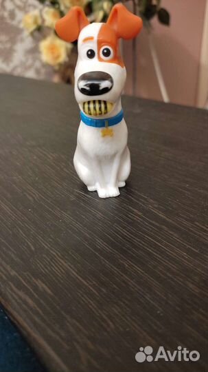 Жизнь домашних животных