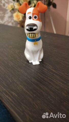 Жизнь домашних животных