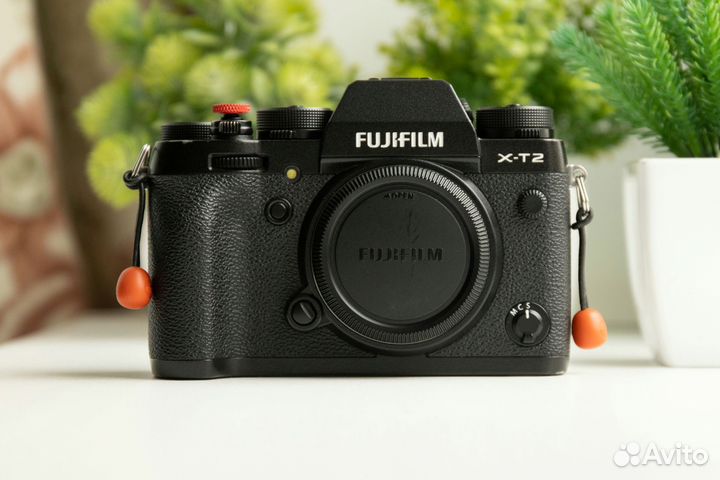 Fujifilm X-T2 (XT2) + Клетка