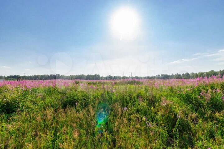 Участок 40 сот. (СНТ, ДНП)