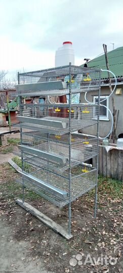 Клетки для перепелов с поддонами для помёта(Новые)