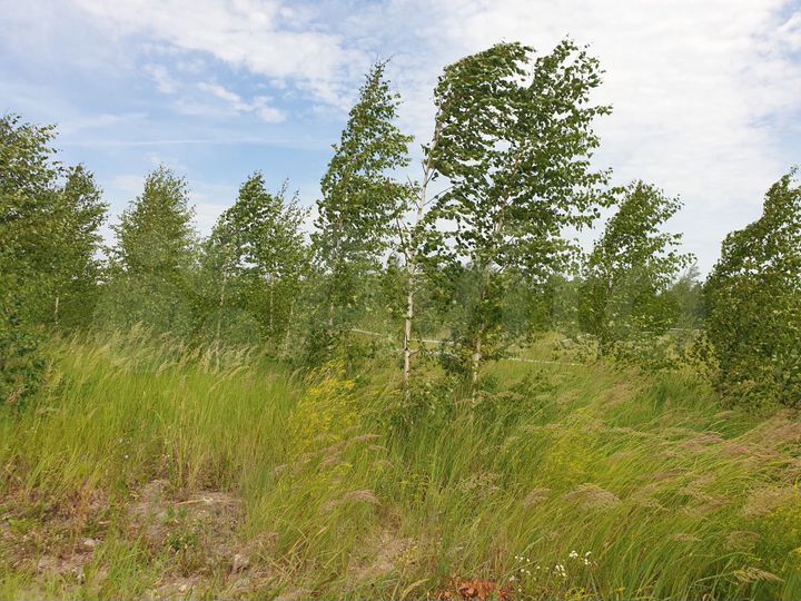 Участок 6 сот. (ИЖС)