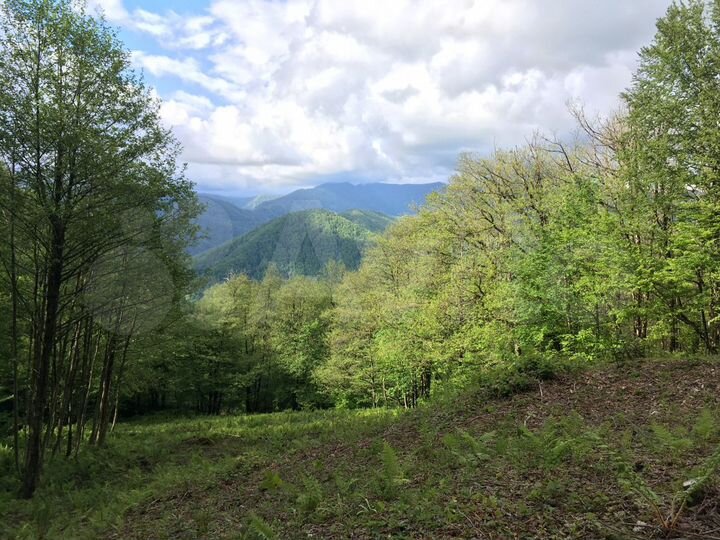 Участок 98 сот. (СНТ, ДНП)