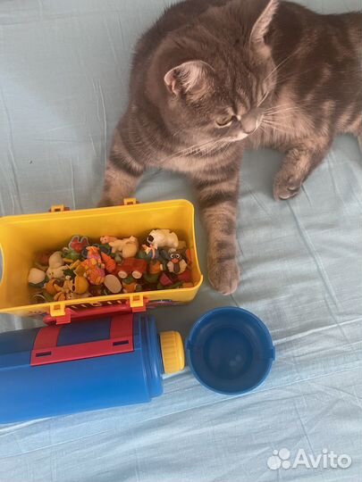 Диспенсер от конфет m&m